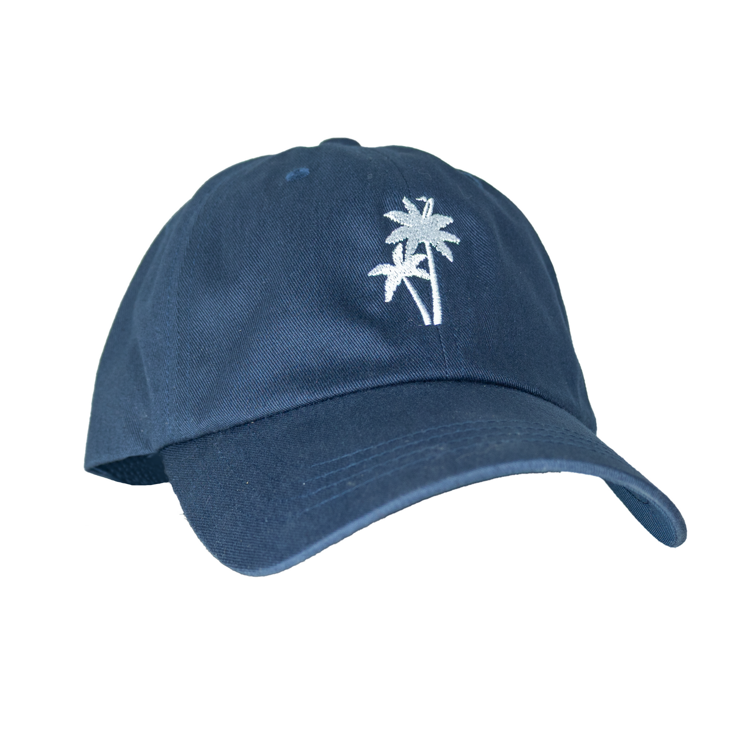 Delray Dad Hat