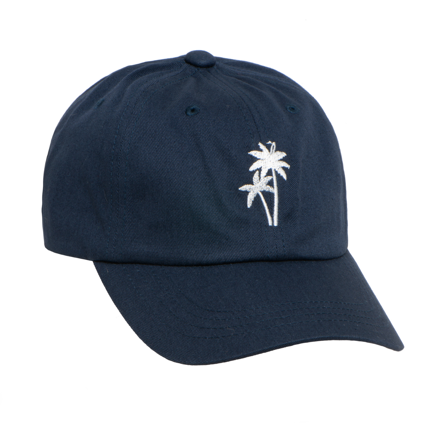 Delray Dad Hat