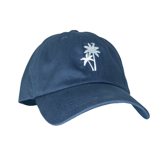 Delray Dad Hat