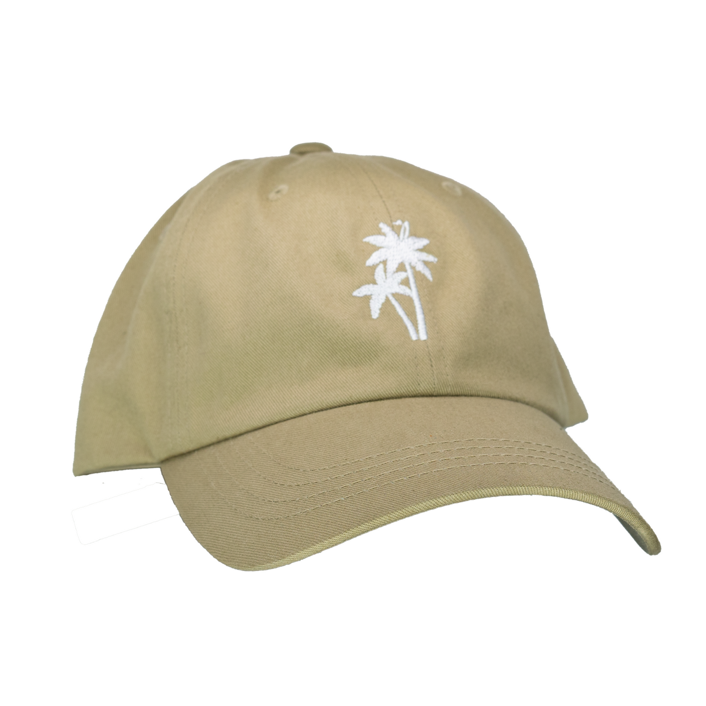 Delray Dad Hat