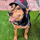 St. John's Golf Hat
